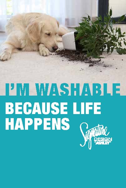 Hang Tag "I'm Washable"